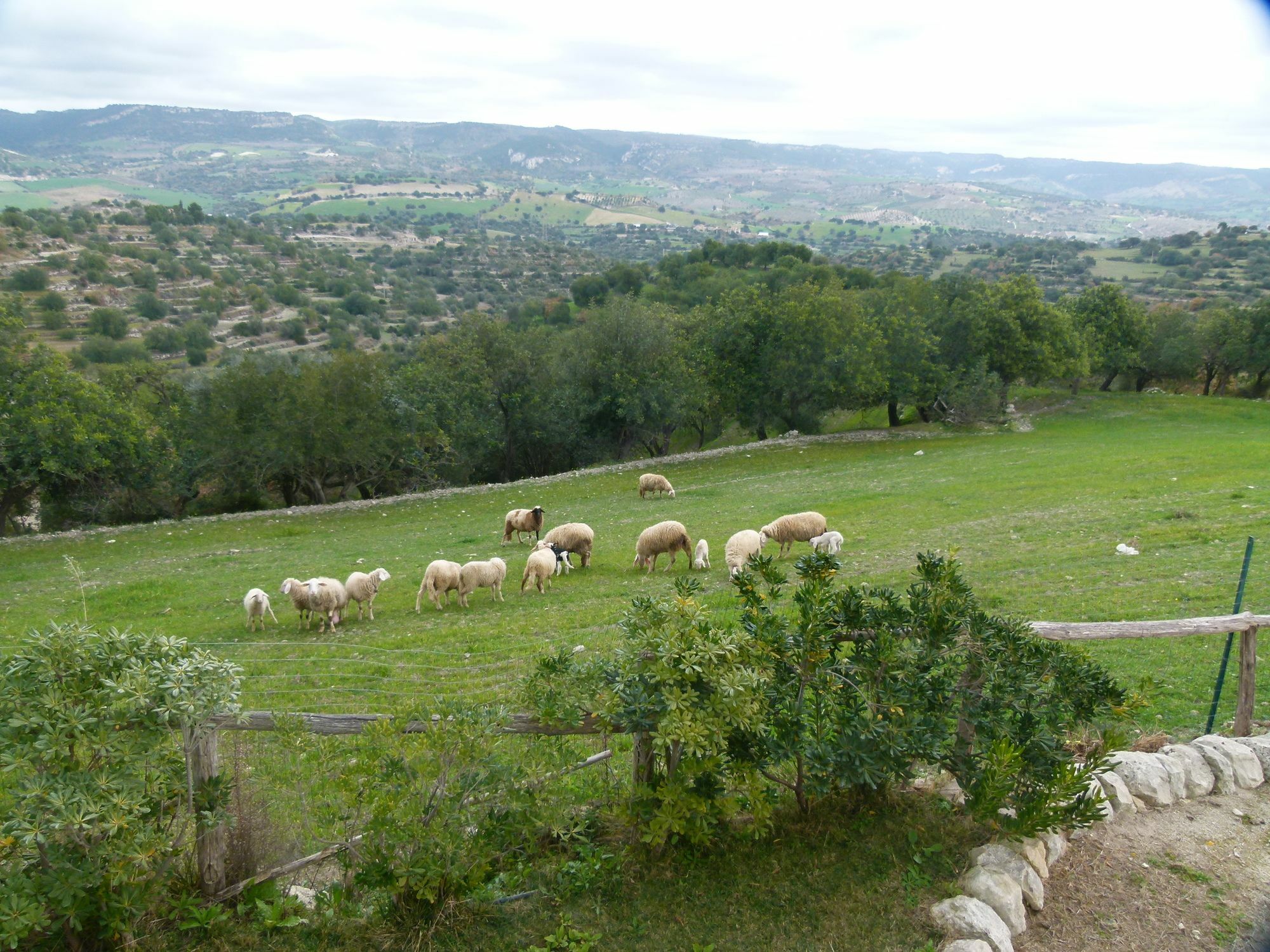 Agriturismo Villa Gaia Модика Экстерьер фото