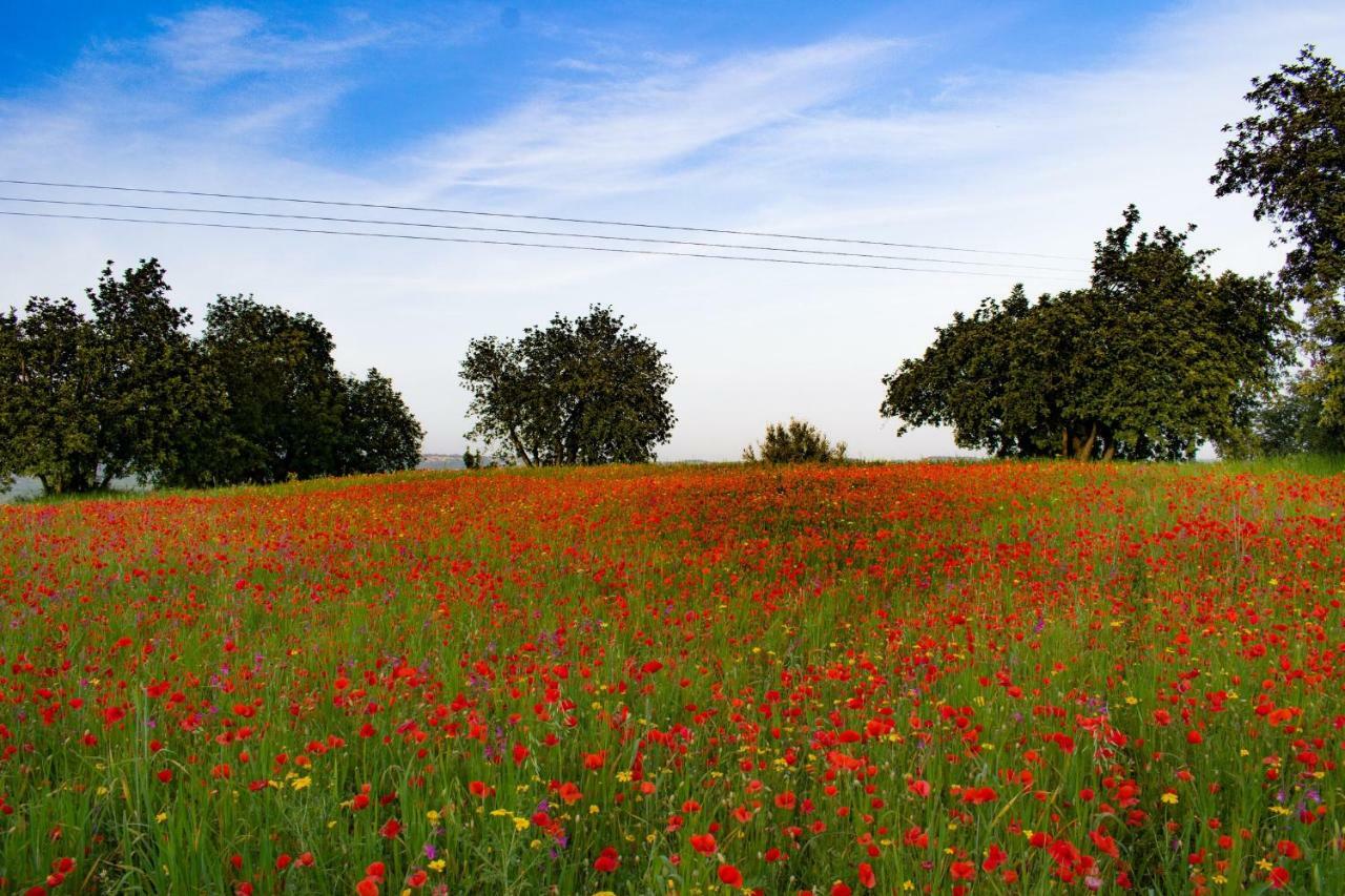 Agriturismo Villa Gaia Модика Экстерьер фото